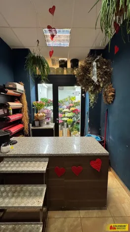 Pronájem obchodního prostoru, Brno - Brno-město, 26 m2