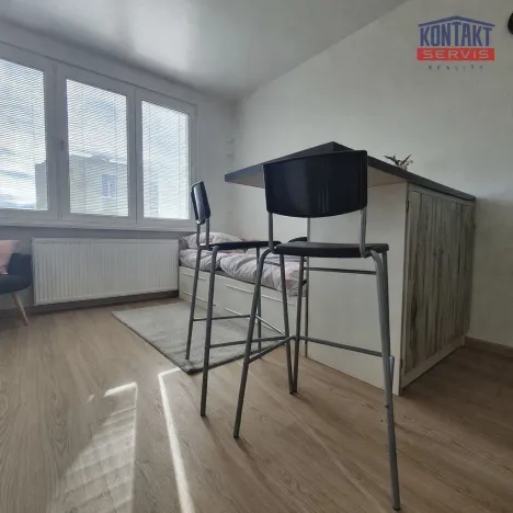 Pronájem bytu 1+kk, České Budějovice, Puklicova, 21 m2