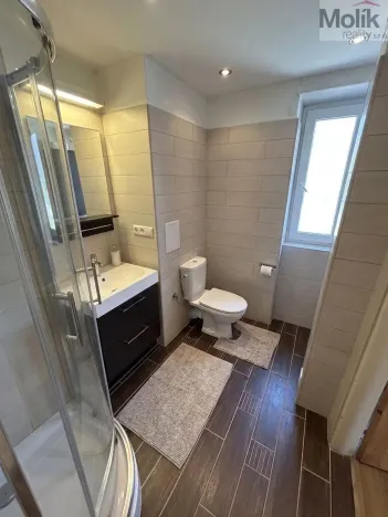 Pronájem bytu 1+1, Litvínov - Horní Litvínov, Ladova, 39 m2