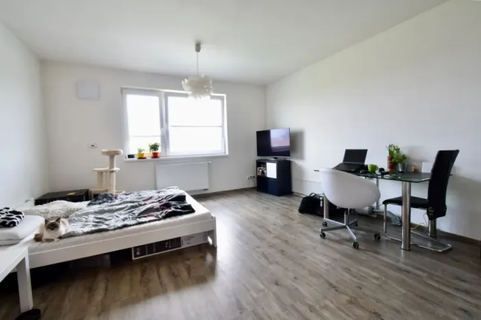 Pronájem bytu 1+kk, Brno - Černá Pole, třída Generála Píky, 30 m2