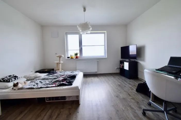 Pronájem bytu 1+kk, Brno - Černá Pole, třída Generála Píky, 30 m2