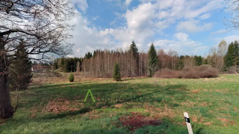 Prodej louky, Přední Výtoň, 13899 m2