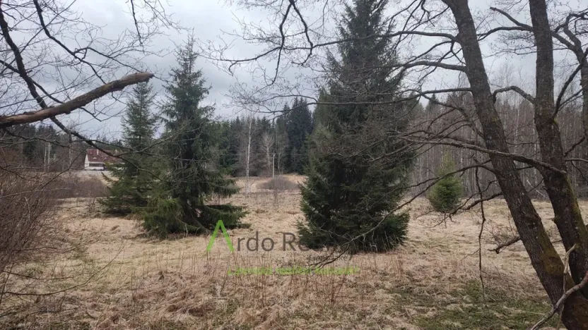 Prodej louky, Přední Výtoň, 13899 m2