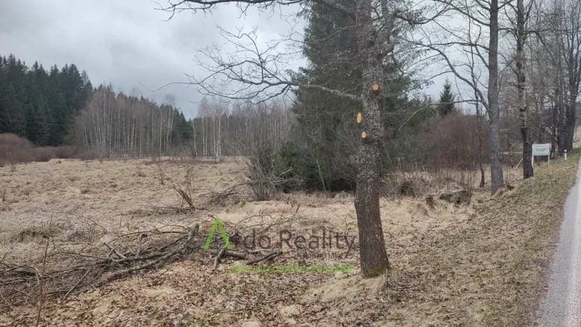 Prodej louky, Přední Výtoň, 13899 m2