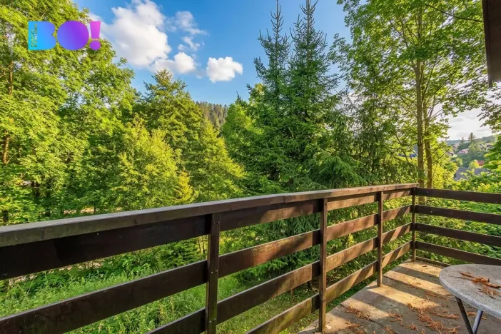 Prodej chaty, Krásné - Chlum, 70 m2