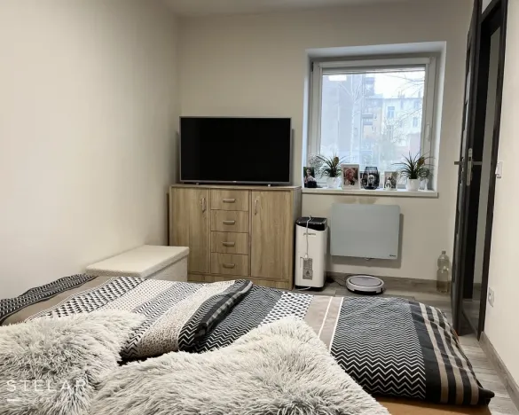 Pronájem bytu 3+1, Opava - Předměstí, Alšova, 60 m2