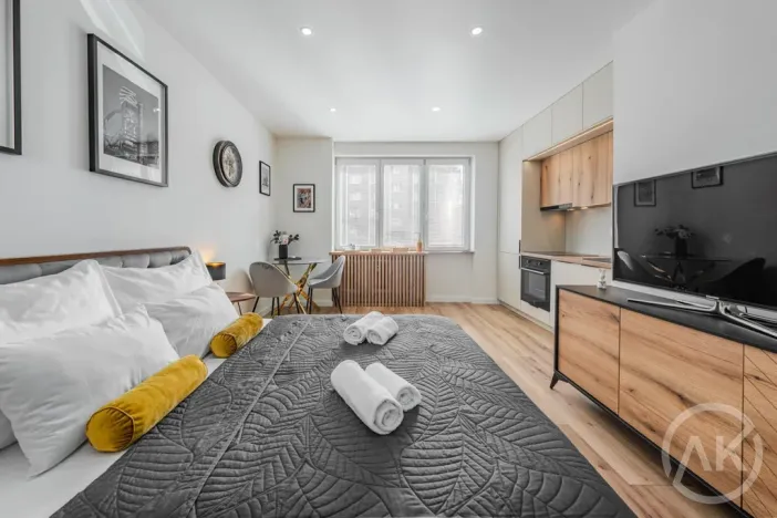 Pronájem bytu 1+kk, Ostrava - Poruba, Sokolovská, 25 m2