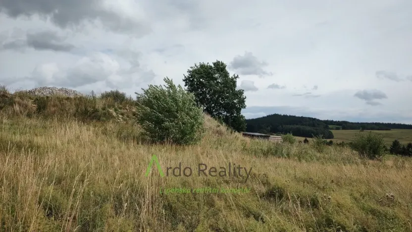 Prodej pozemku pro bydlení, Horní Planá, 690 m2