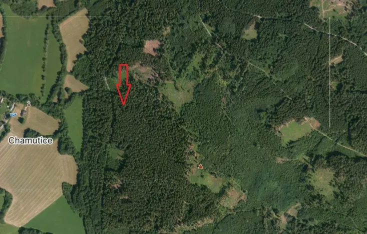 Prodej lesa, Petrovice u Sušice - Trsice, 18883 m2