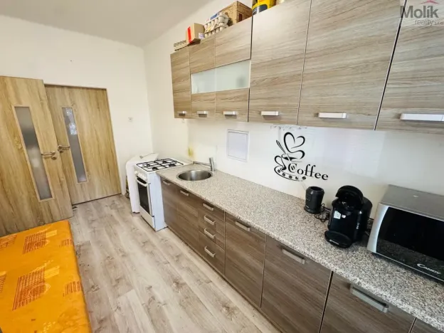 Prodej bytu 1+1, Most, Josefa Skupy, 37 m2