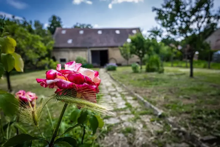 Pronájem rodinného domu, Hajany, 158 m2