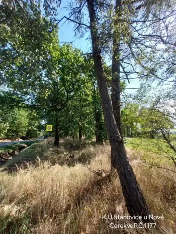 Prodej lesa, Nová Cerekev, 1967 m2