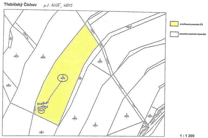 Prodej lesa, Číchov, 7090 m2