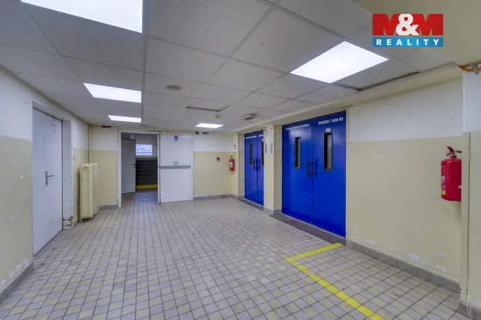 Pronájem obchodního prostoru, Plzeň - Východní Předměstí, Americká, 1603 m2