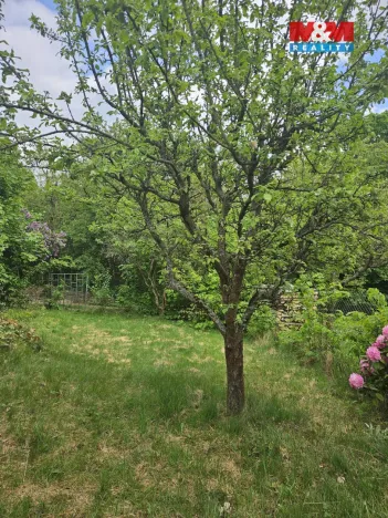 Prodej zahrady, Šternberk, 401 m2