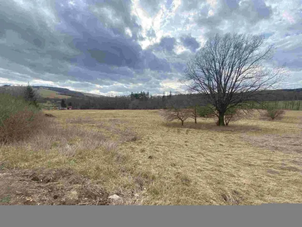 Prodej pole, Javorník, 664 m2