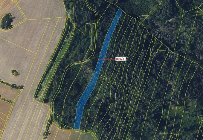 Dražba lesa, Žďárec, 5465 m2