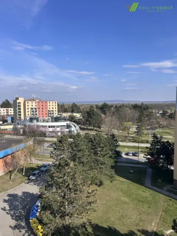 Prodej bytu 2+1, Hodonín, Brandlova, 59 m2