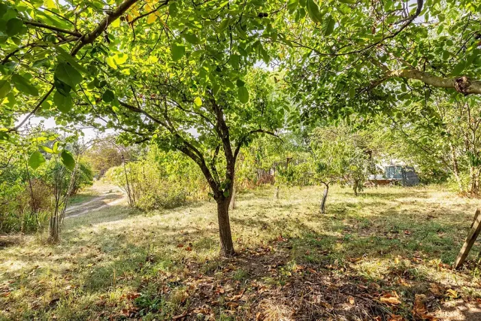 Prodej pozemku, Přibice, 1640 m2