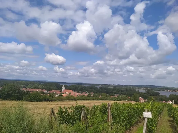 Prodej pozemku pro bydlení, Dolní Věstonice, 1941 m2