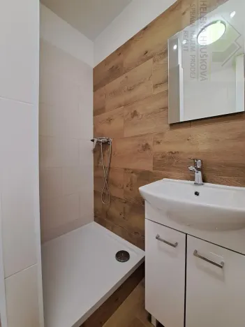 Pronájem bytu 1+1, Ostrava, Jičínská, 31 m2