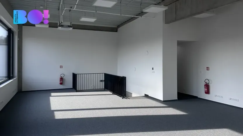 Pronájem obchodního prostoru, Brno - Černovice, 439 m2