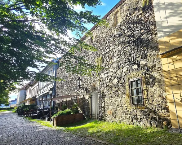 Pronájem restaurace, Písek - Vnitřní Město, V Koutě, 230 m2