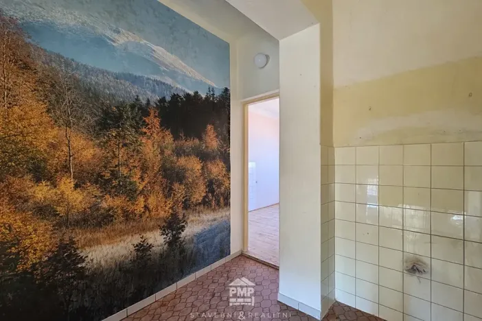 Prodej vícegeneračního domu, Brodek u Konice, 280 m2