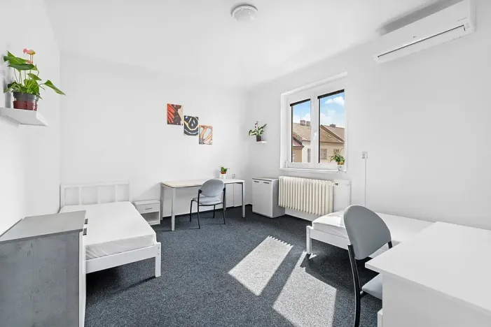 Pronájem pokoje, Brno, Jelínkova, 18 m2