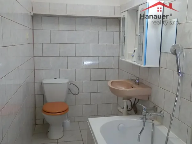 Pronájem bytu 2+1, Ústí nad Labem - Střekov, Zeyerova, 45 m2