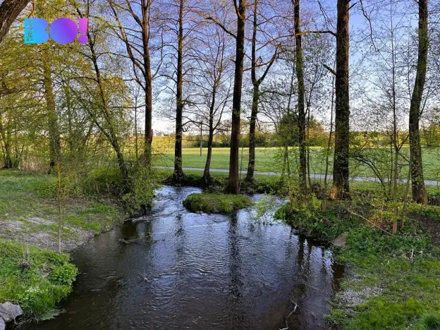 Prodej bytu 3+1, Žďár nad Sázavou, Purkyňova, 73 m2