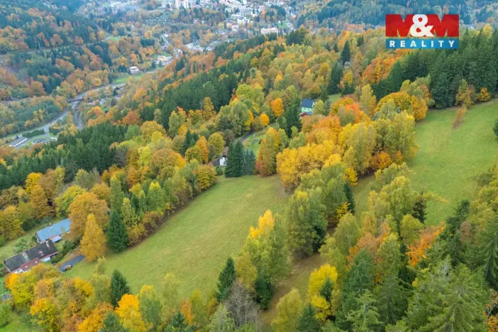 Prodej louky, Tanvald - Šumburk nad Desnou, 2029 m2