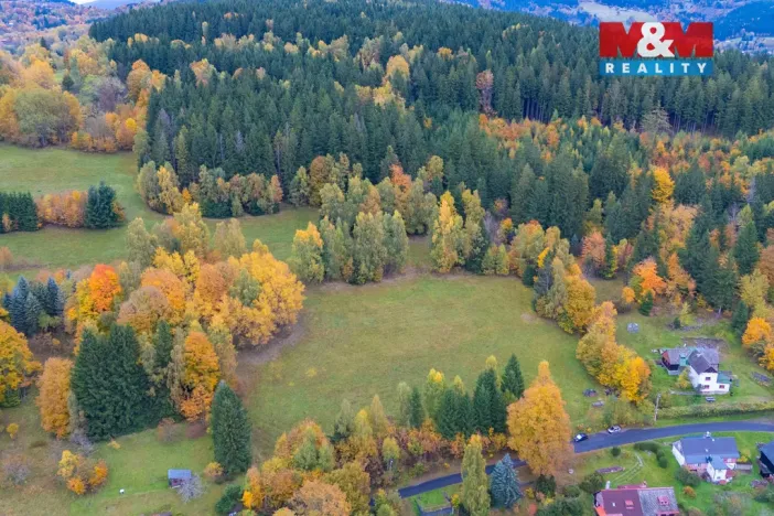 Prodej louky, Tanvald - Šumburk nad Desnou, 1444 m2