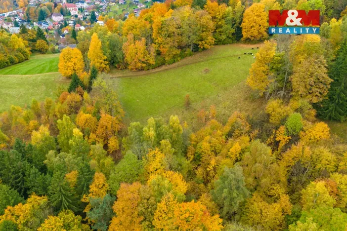 Prodej louky, Tanvald - Šumburk nad Desnou, 1589 m2