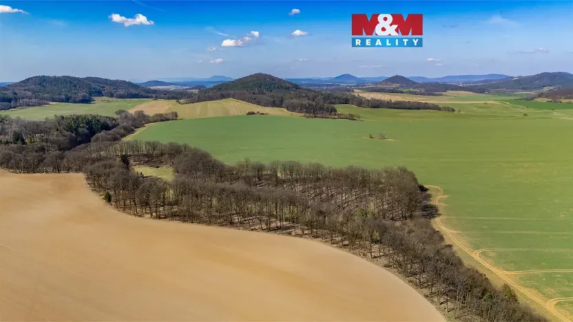 Prodej louky, Tachov, 12761 m2