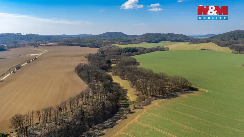 Prodej louky, Tachov, 12761 m2