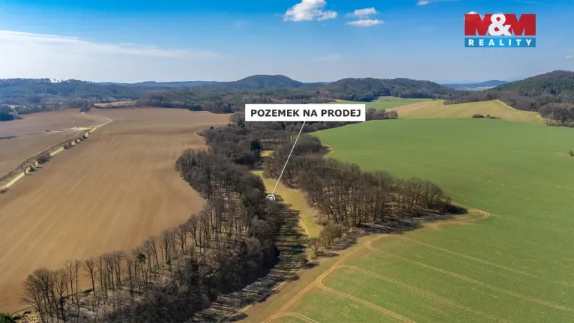 Prodej louky, Tachov, 12761 m2