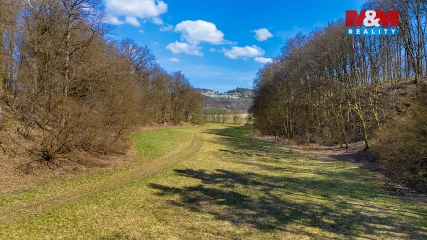 Prodej louky, Tachov, 12761 m2