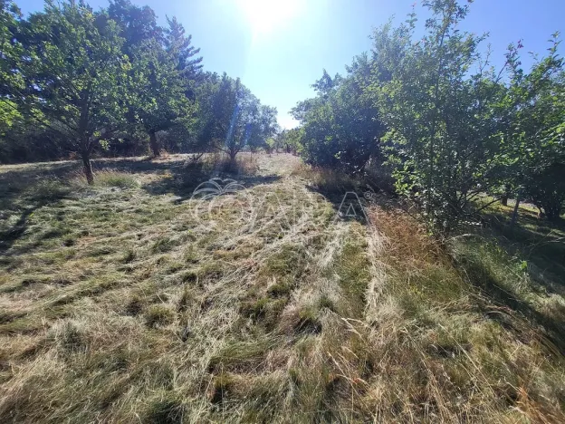 Prodej pozemku pro bydlení, Zdechovice, 2142 m2