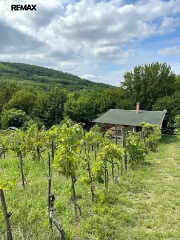 Prodej chalupy, Pincehely, Maďarsko, 64 m2