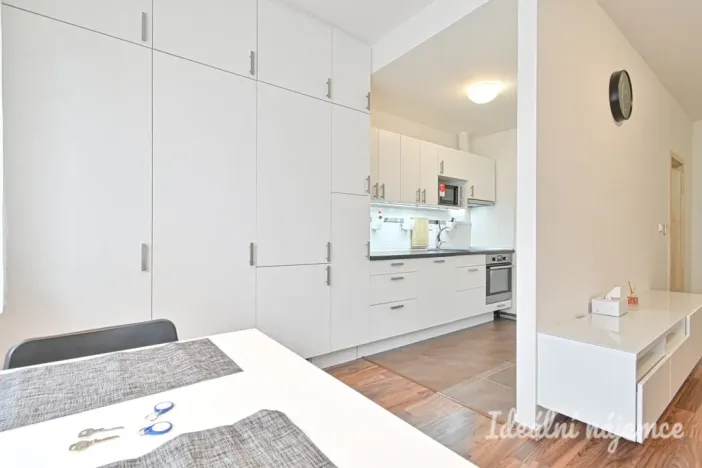 Pronájem bytu 1+kk, Brno, U Leskavy, 38 m2