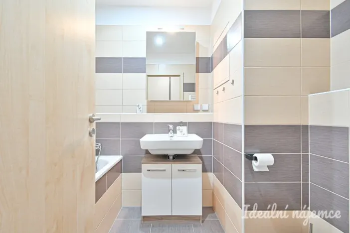 Pronájem bytu 1+kk, Brno, U Leskavy, 38 m2