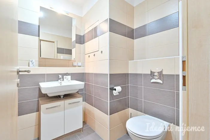 Pronájem bytu 1+kk, Brno, U Leskavy, 38 m2