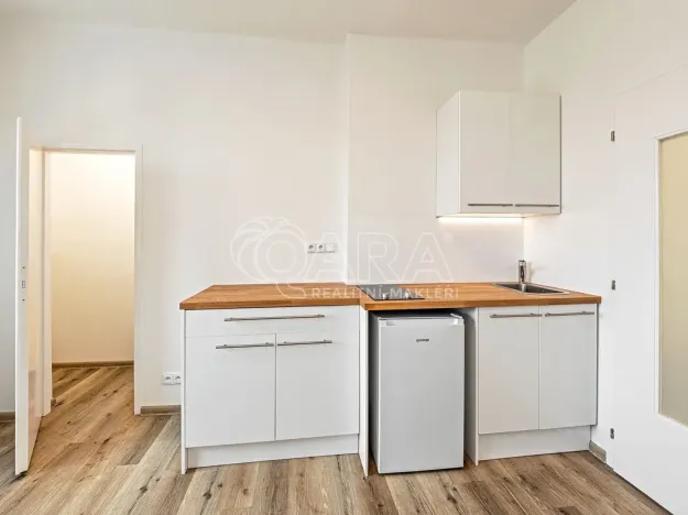 Pronájem bytu 1+kk, Praha - Nusle, V Horkách, 17 m2