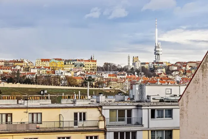 Pronájem bytu 1+kk, Praha - Nusle, V Horkách, 17 m2