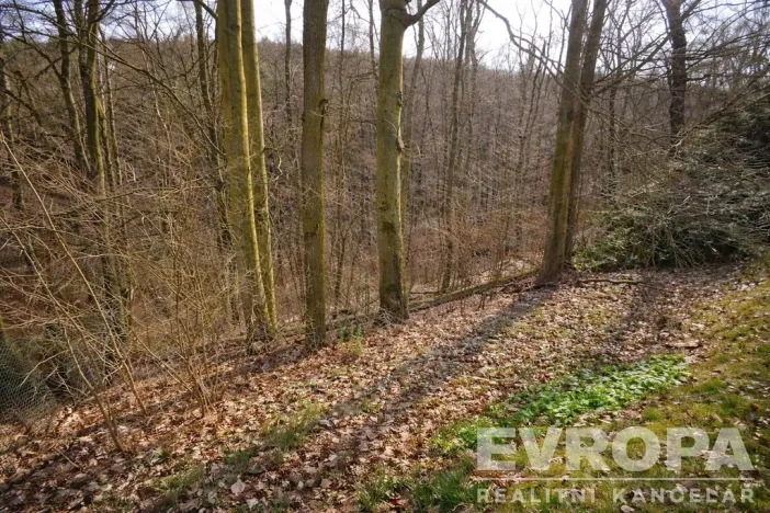 Prodej chaty, Svatý Jan pod Skalou - Záhrabská, Na Výsluní, 55 m2
