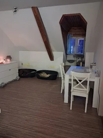 Pronájem bytu 3+kk, Mladá Boleslav - Čejetičky, Vinecká, 80 m2