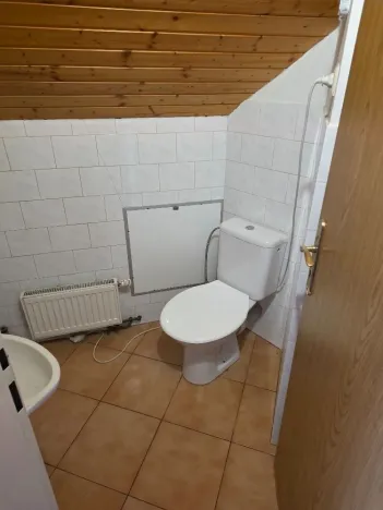Pronájem bytu 3+kk, Mladá Boleslav - Čejetičky, Vinecká, 80 m2