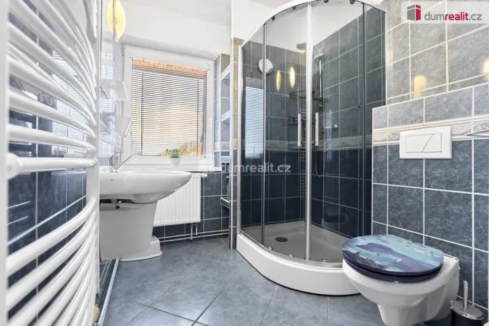 Prodej rodinného domu, Ostrov, Krušnohorská, 340 m2