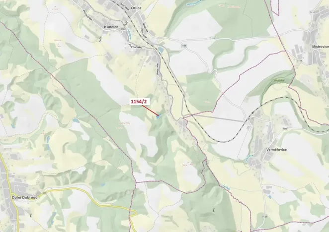 Dražba lesa, Letohrad, 3699 m2